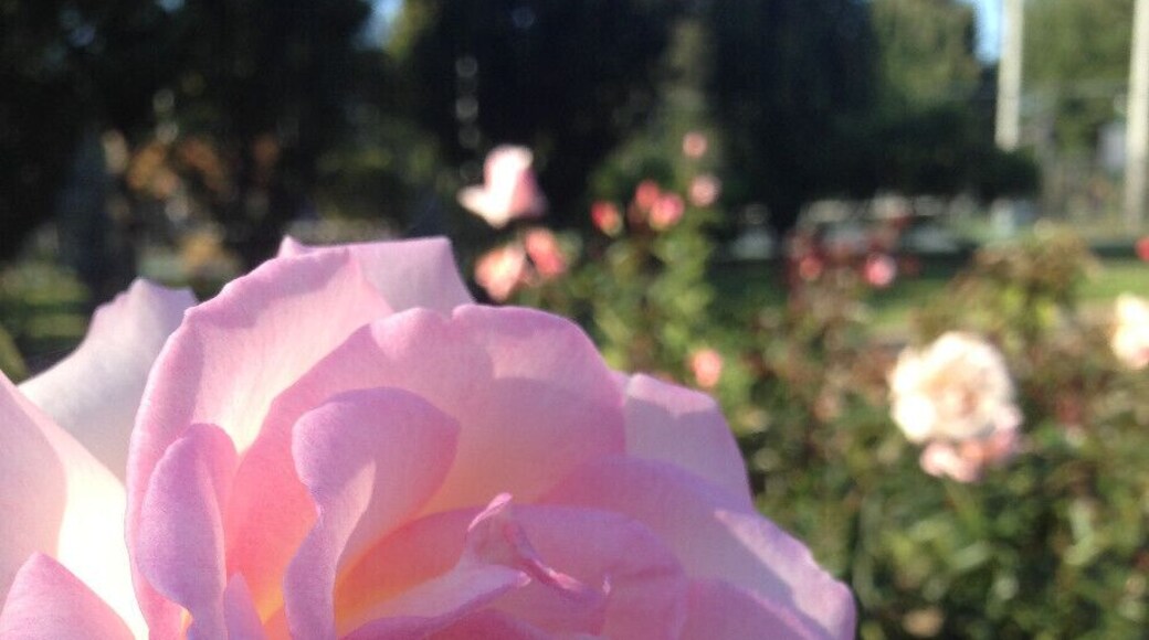 Love these history markers!