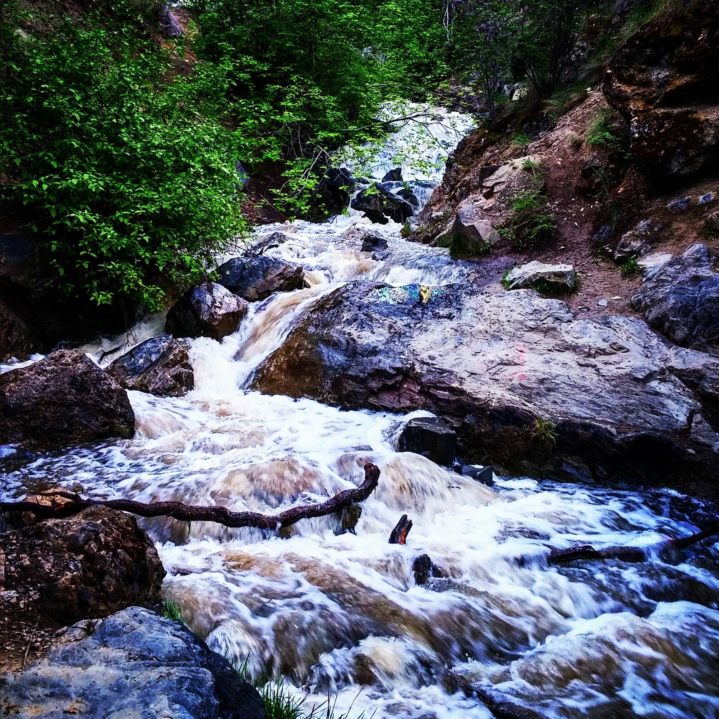 Beautiful Peterson Creek Park. Lots of trails for every hiking level.