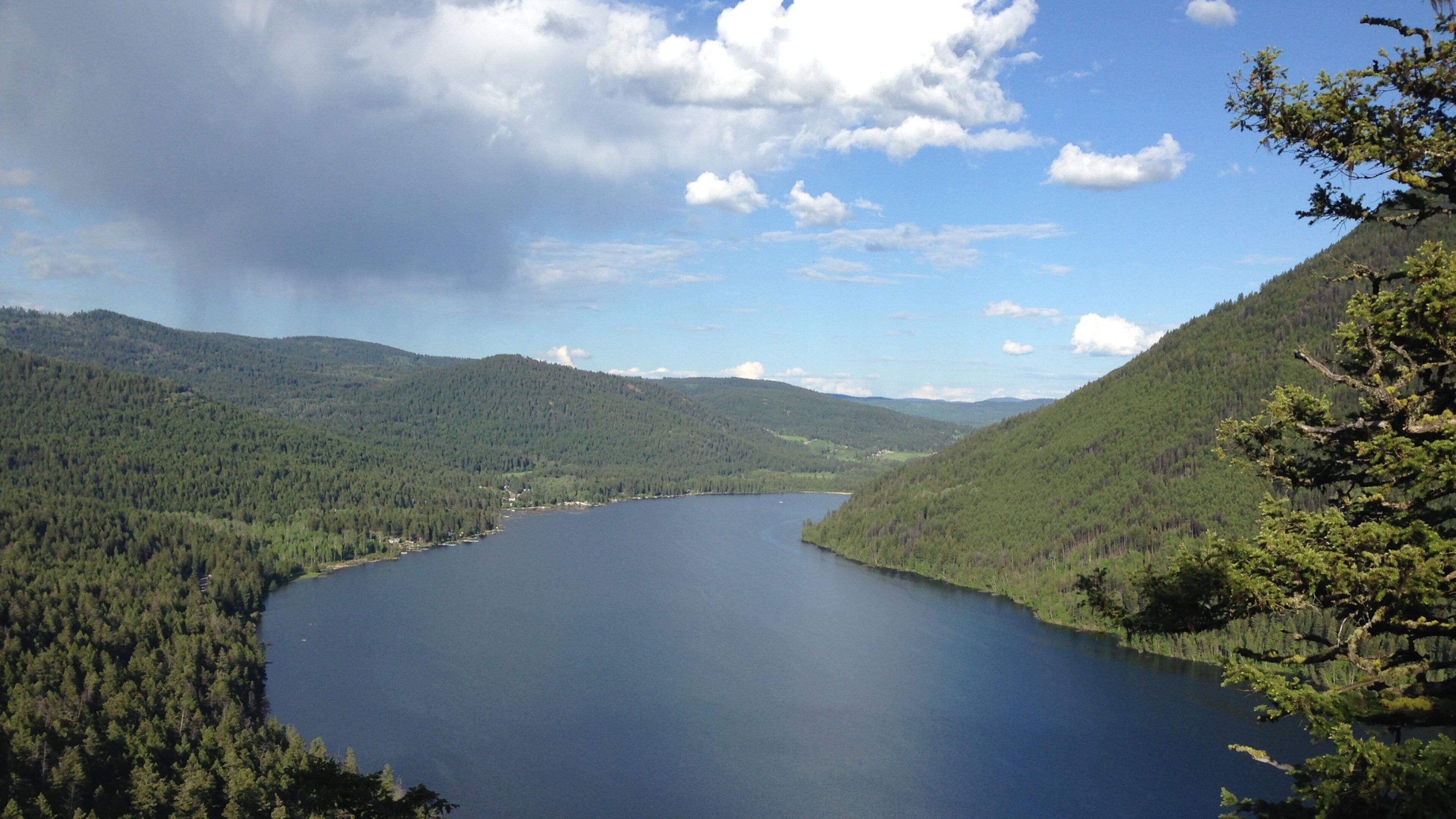 Kamloops which includes forest scenes, a lake or waterhole and landscape views