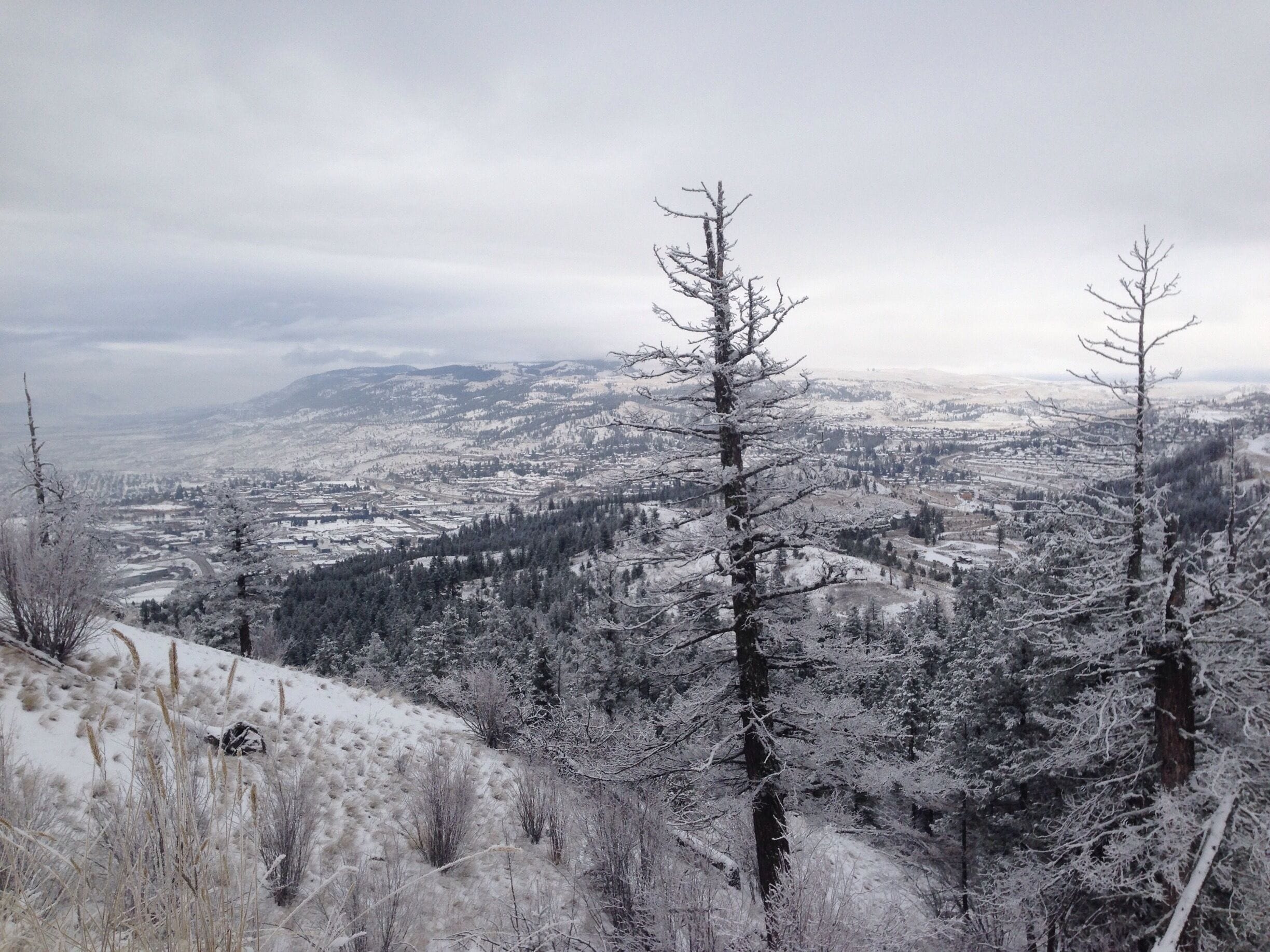 Made it to the top of Mt. Dufferin this morning. So pooped but the view was incredible and so rewarding. 

The path I took was the Ponderosa Trail (entrance by Home Depot parking lot). Then headed towards the tower trail which is at an Intermediate Level as it is a steep climb up for a portion of it. 

Breath taking views await you at every turn and today I seen a bald eagle flying overhead. An exhilarating moment. 
 
I started an outdoors group here in Kamloops so I went with a few new made friends.

The mountain has a few areas for a picnic and washrooms in various location throughout which is awesome.

The park is dog friendly with leash free areas for those who wish to travel with their furry companions. The tower is 890ft (approx 1200 feet) above sea level so it's a healthy climb that will make you sweat. 

Best way to bring in the New Year!  #snow
