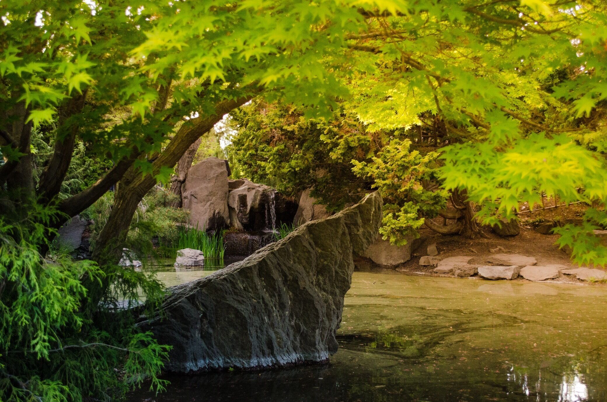 Nice park area located right off the highway.