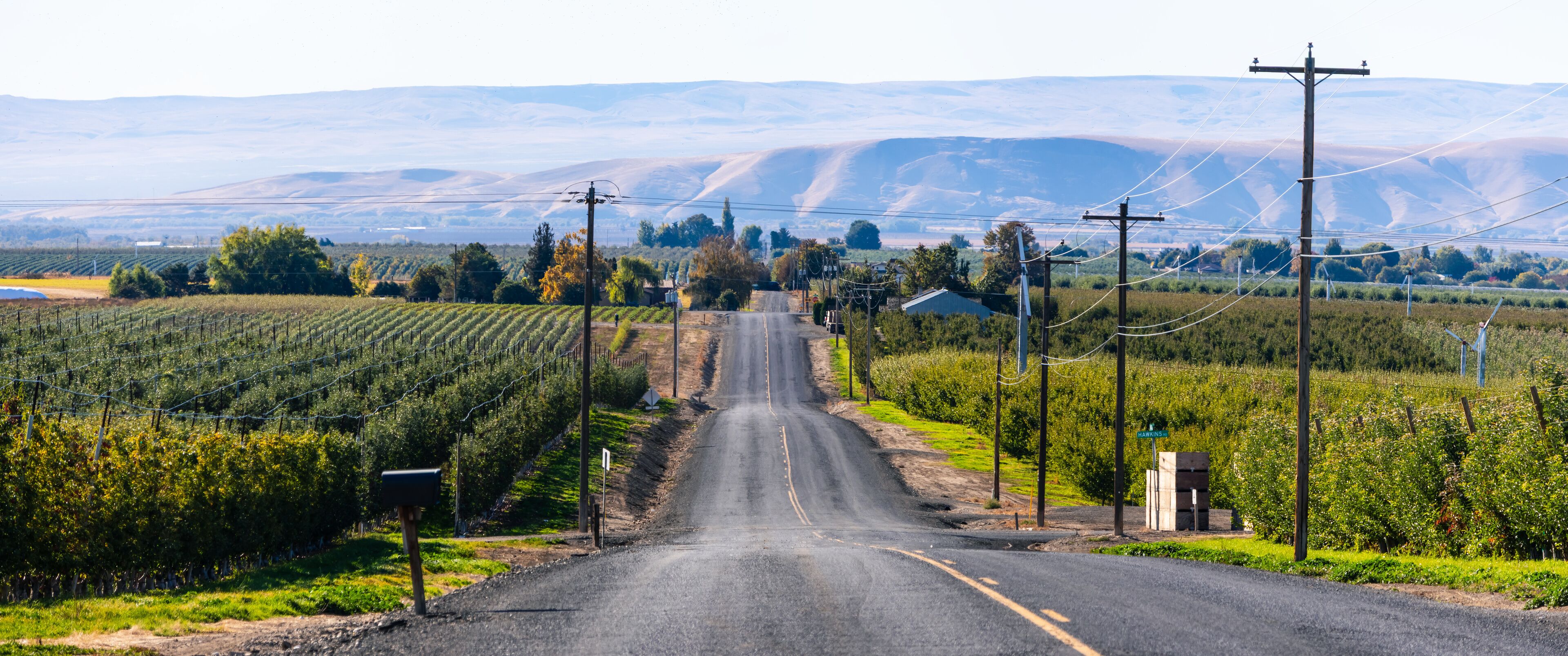 A rural road flanked by vineyards and power lines, leading towards distant hills.