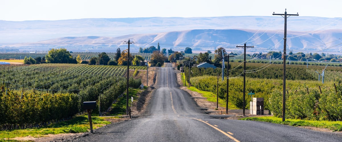A rural road flanked by vineyards and power lines, leading towards distant hills.