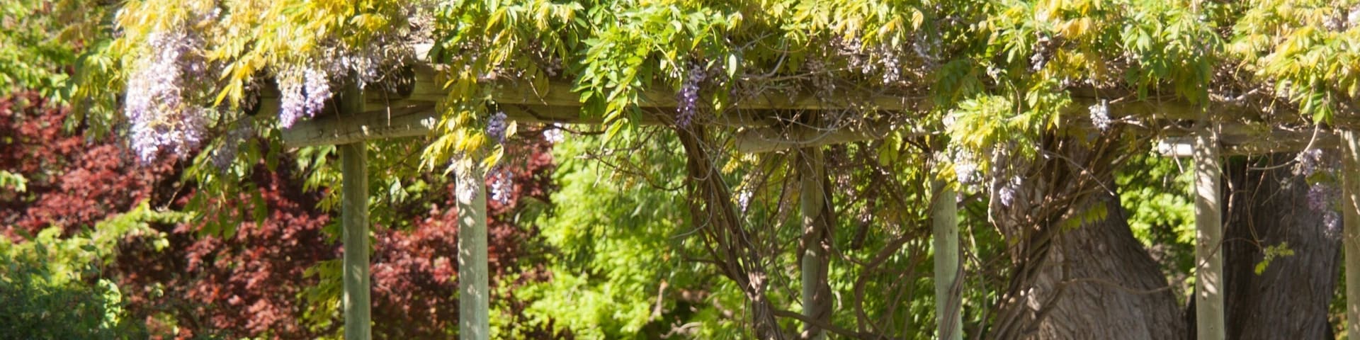 The arboretum is a lovely place to visit and enjoy