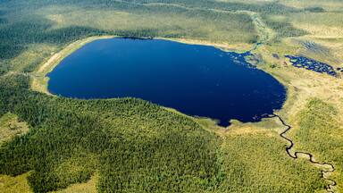 Boreal Forest in Waskaganish Region Quebec Canada