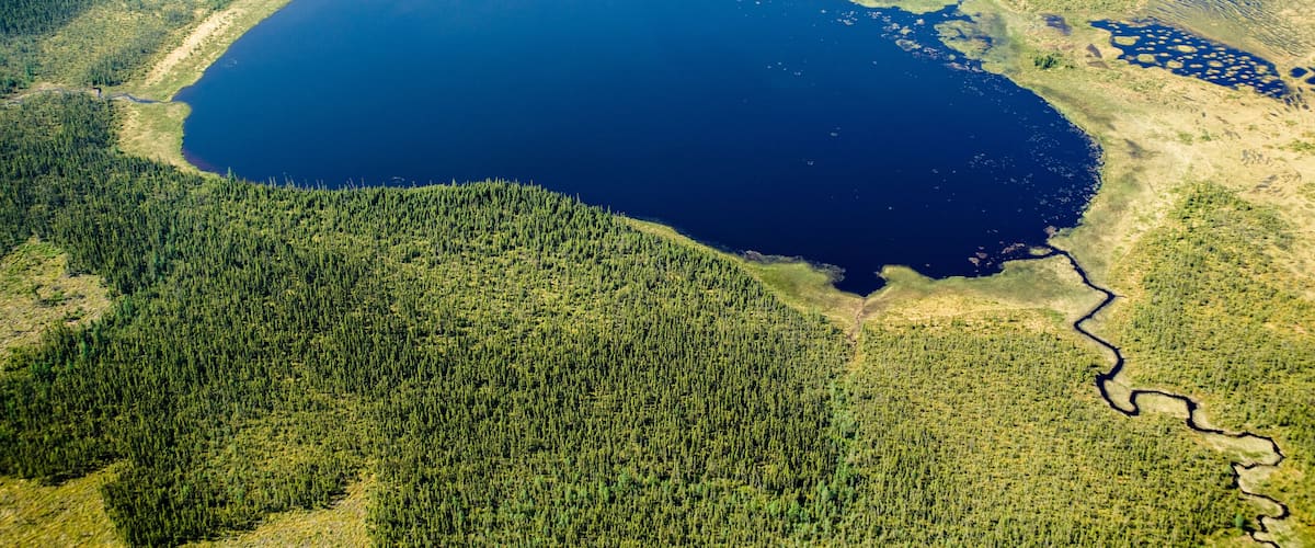 An aerial view of a large lake surrounded by dense forests.