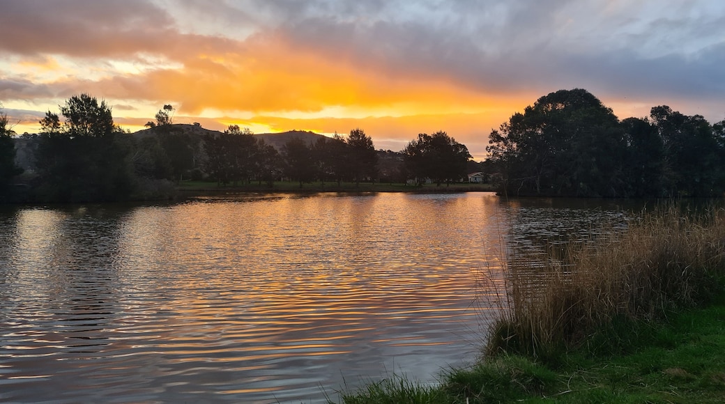 A calm lake at sunset with trees and a grassy shoreline.