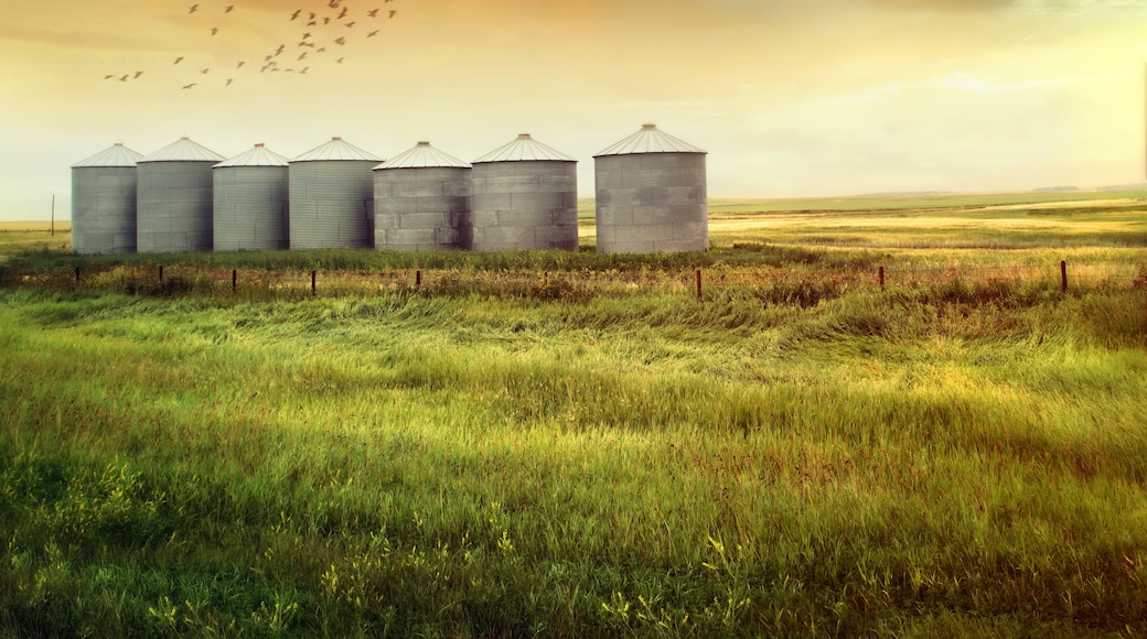 Prairie grain silos in late summer