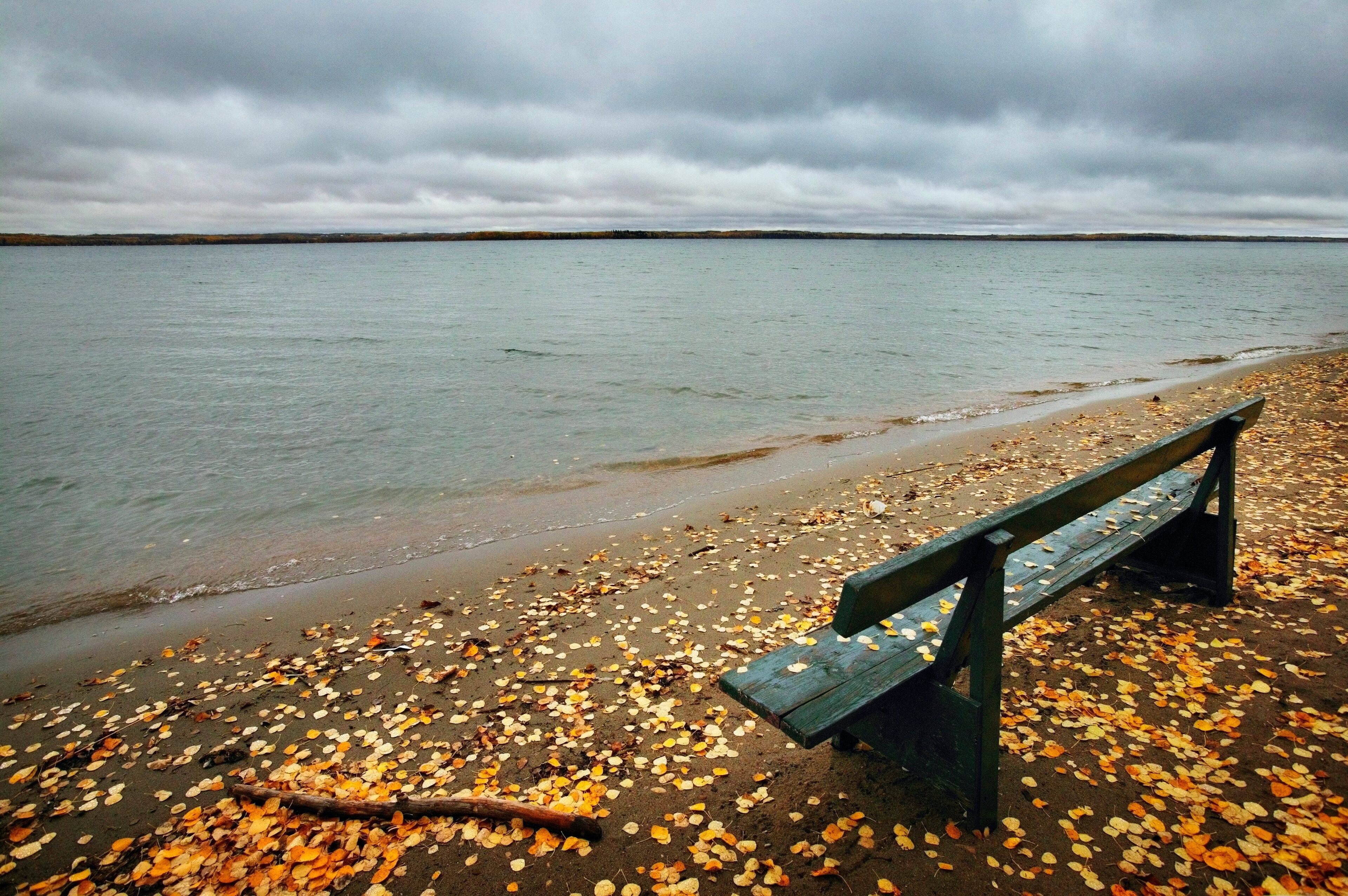 Empty Bench Near Water