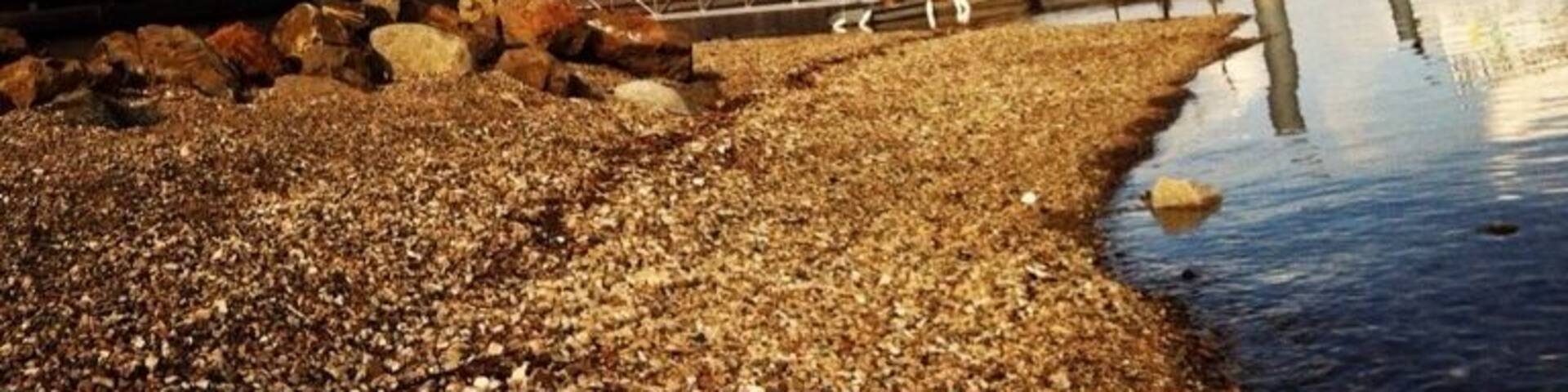 A little walk around the lake. #westkelowna #lakeside