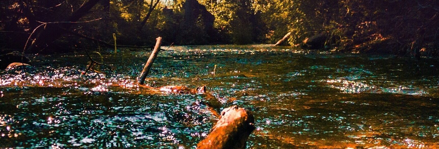 The dilworth bike path is a convenient trail from central to downtown Kelowna, but don’t forget to stop #likealocal at the riverbank to enjoy a cool dip! This is a 20 metre walk off of the actual bike trail, right across from Westwood fine cabinetry.