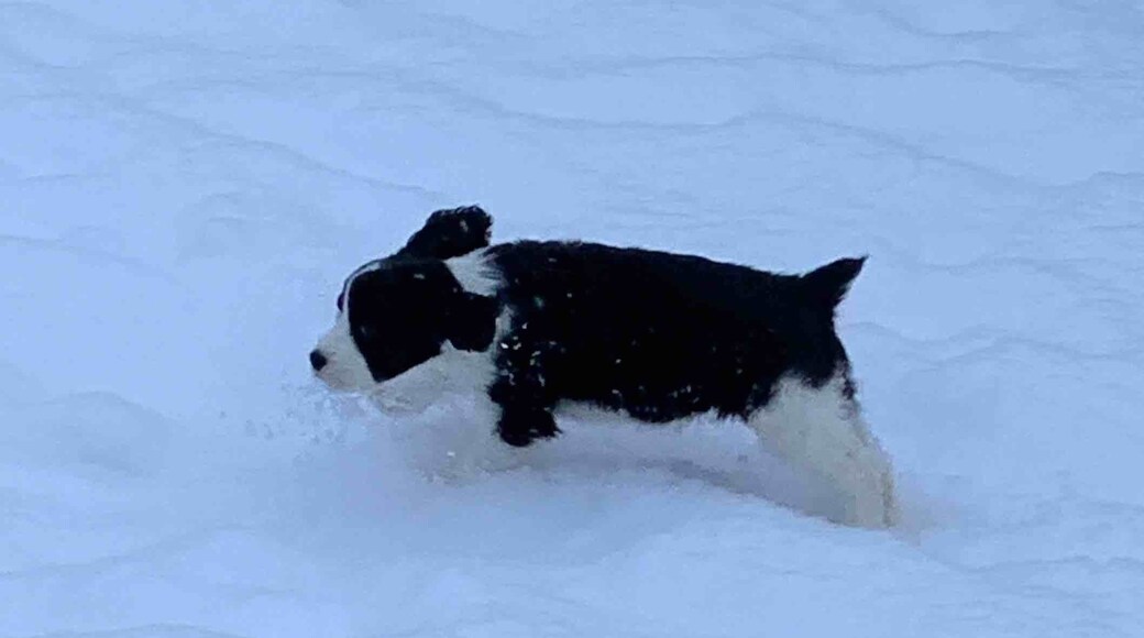 Best spot for snow, and close to anywhere