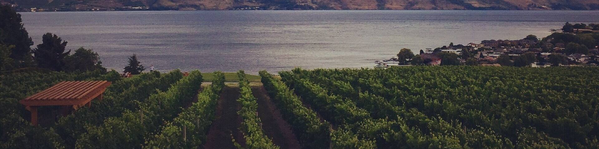 Sunset overlooking okanagan lake and quails gate winery 🍷☀️
#wineries #okanagan #lakeviews #sunset #canada