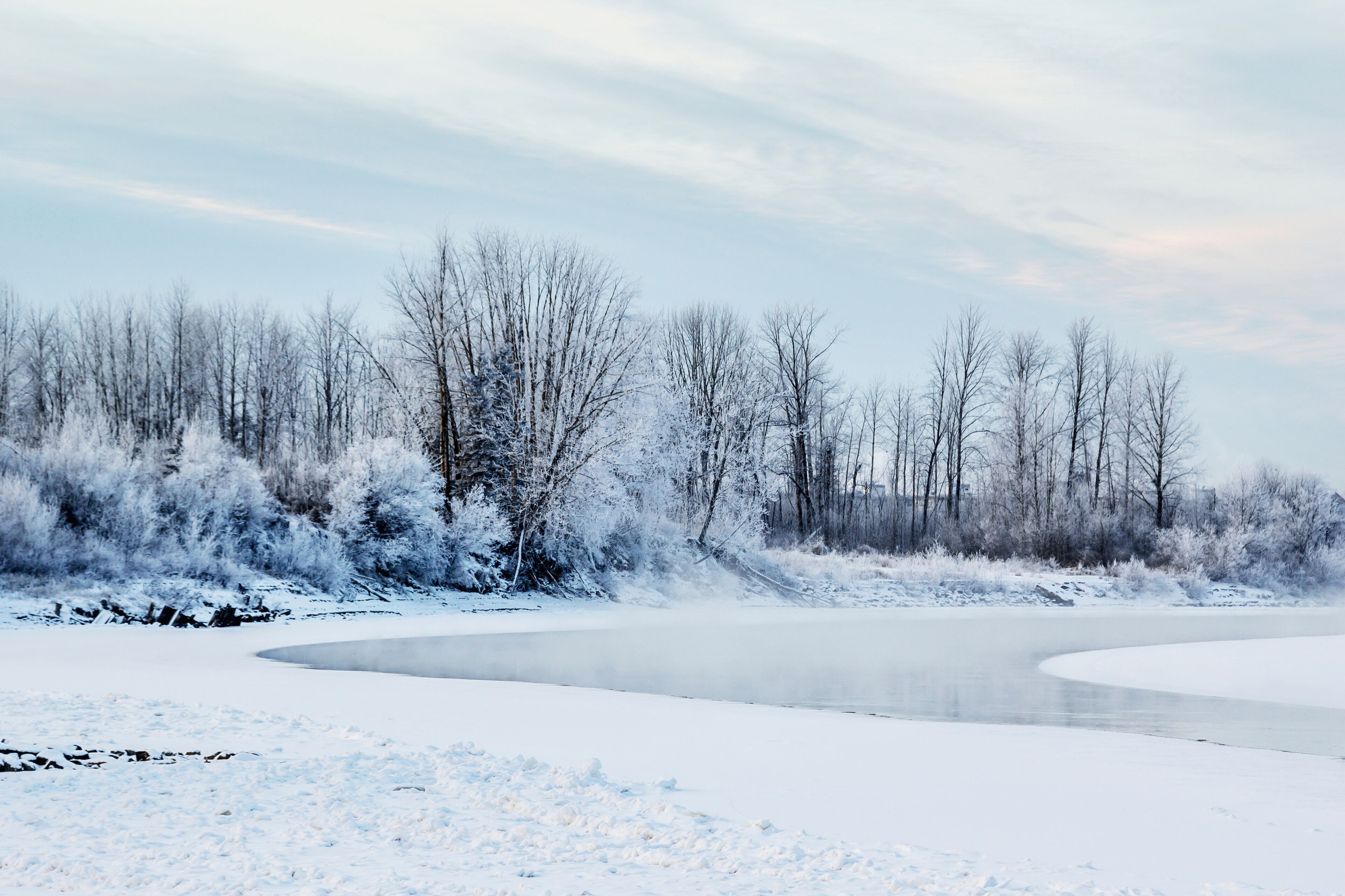 View of snow covered trees