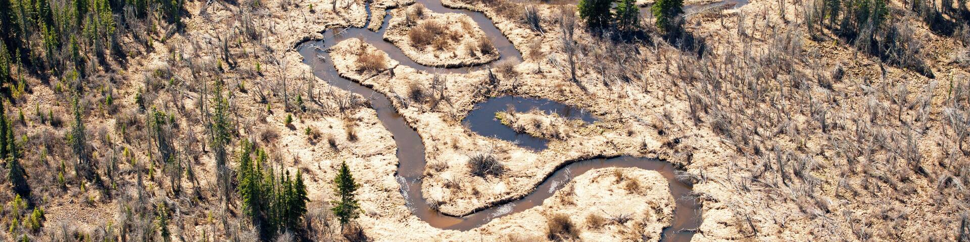An aerial view of the swamp area around Fort McMurray Alberta which is the center of the controversial Oilsands projects.