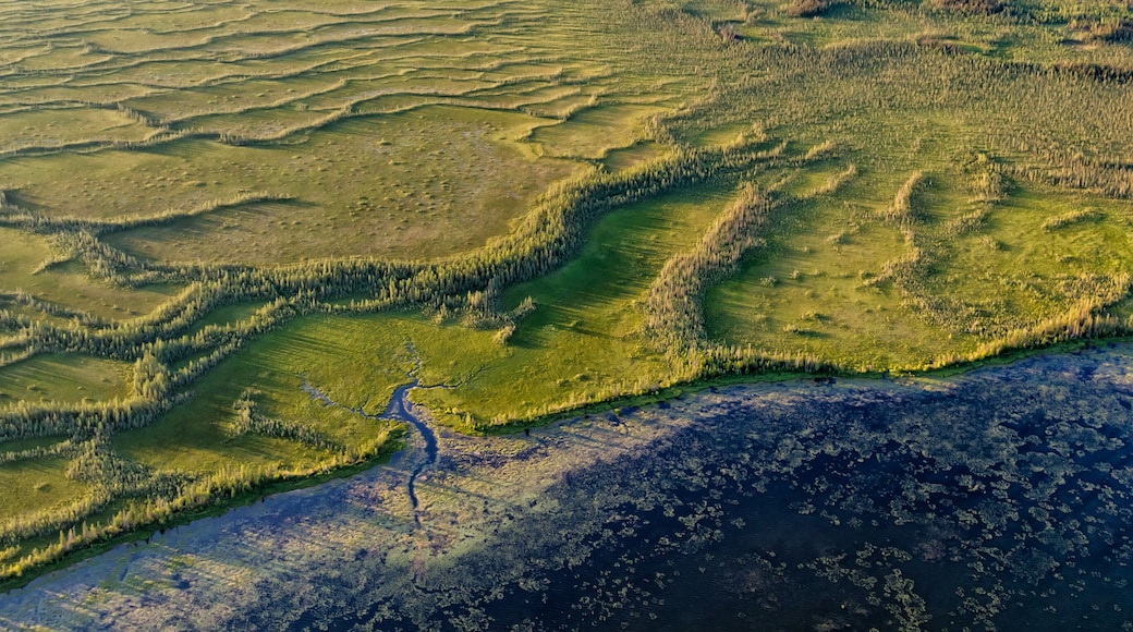 Aerial Panorama view of McClelland lake Wilderness Alberta