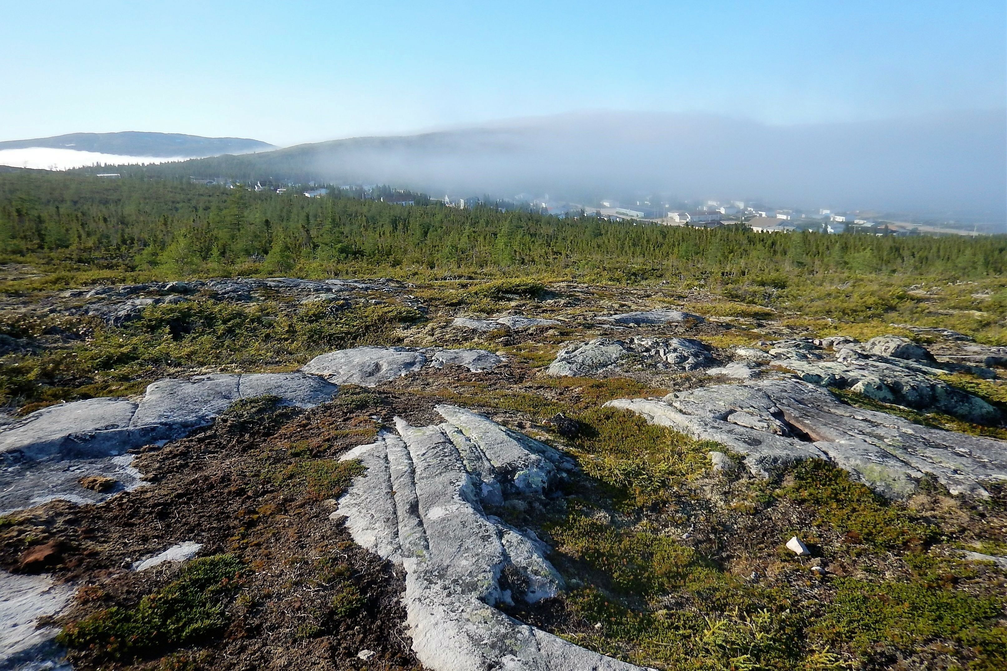 A rocky landscape with sparse vegetation and a distant view of a town through a misty mountain range.