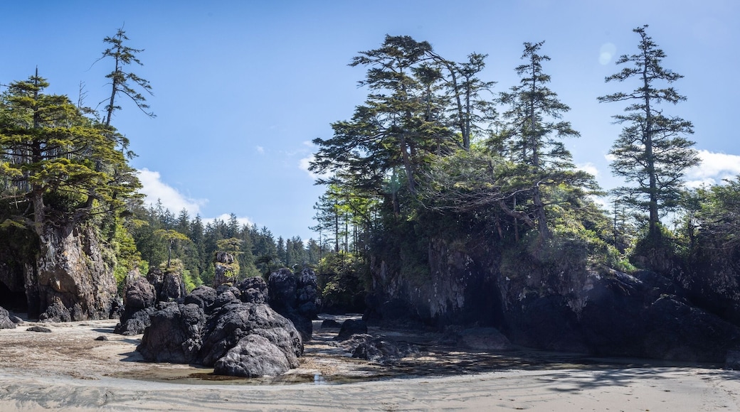 Sea stacks on the beach of San Josef Bay on Vancouver Island.