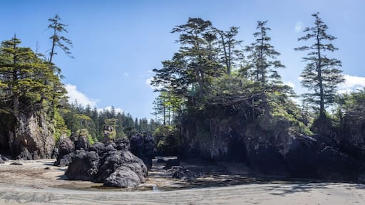 Sea stacks on the beach of San Josef Bay on Vancouver Island.