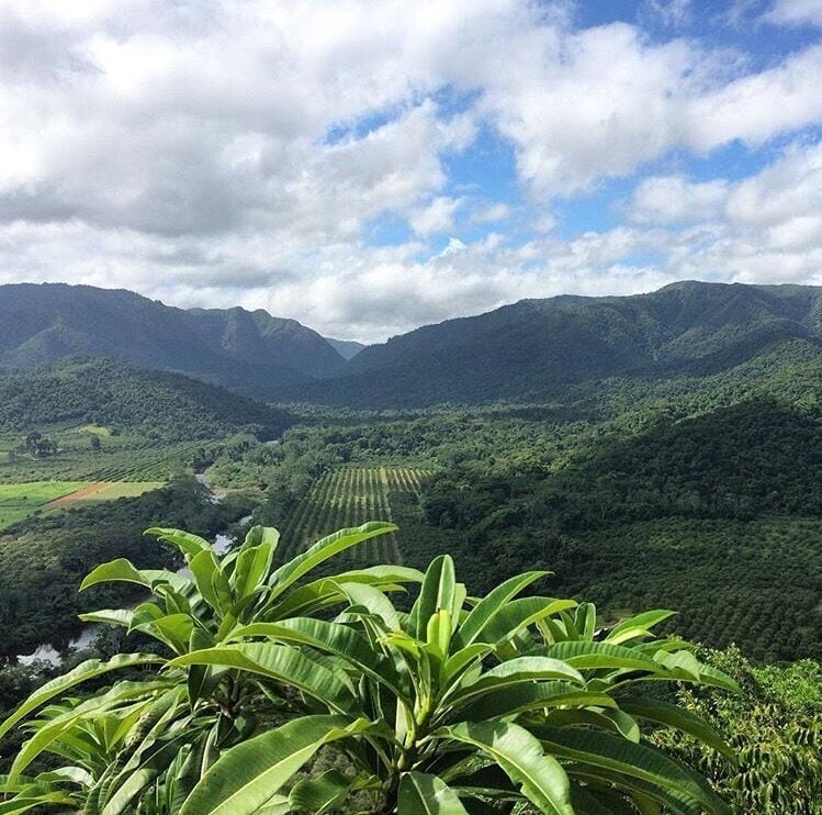 A lush valley with banana plants in the foreground and a river running through it, surrounded by mountains under a partly cloudy sky.