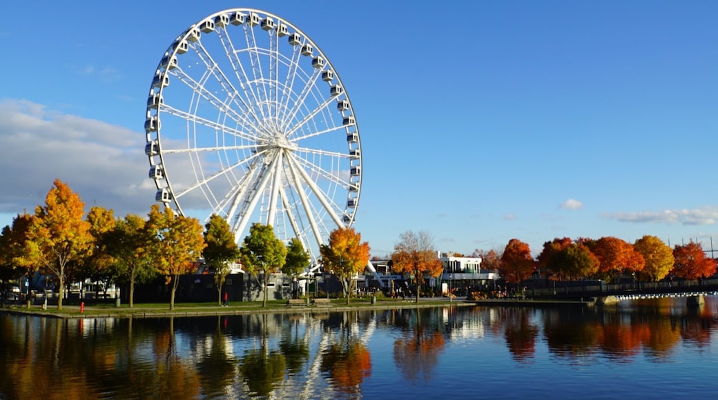 Visiting the old port of Montreal.