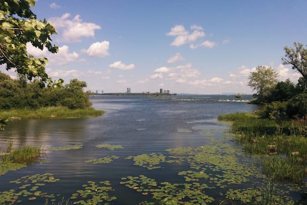 You can do some kayak in this quiet pond at the park (or in the rapids if you like adrenaline rushes)#lifeatexpedia