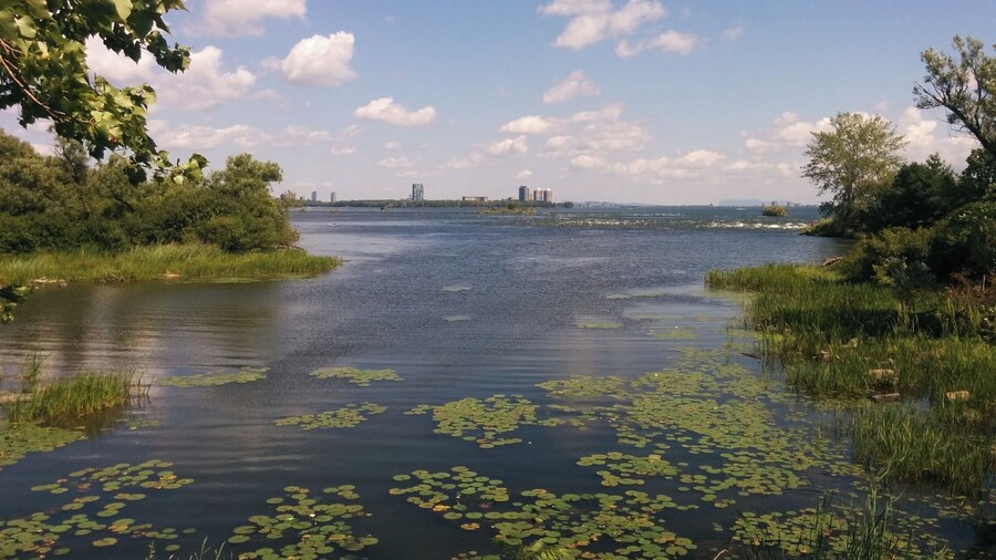 You can do some kayak in this quiet pond at the park
