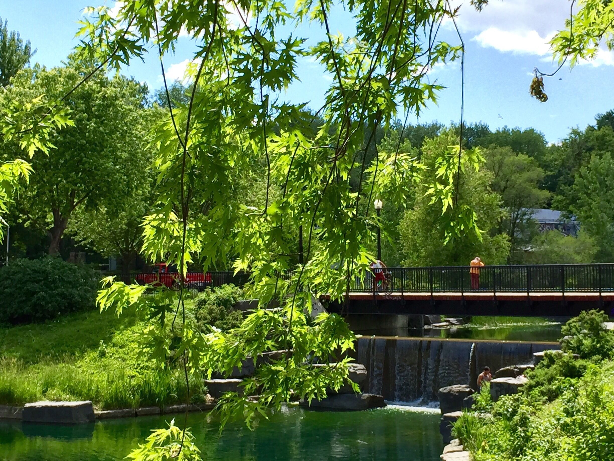 Parc Lafontaine in Montreal. 