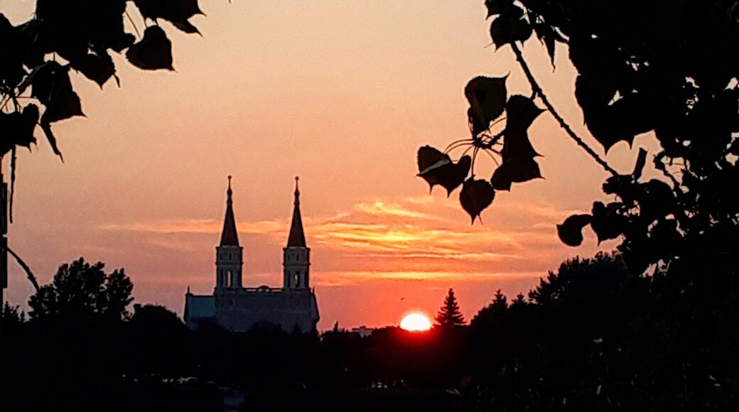 #Golden photo contest