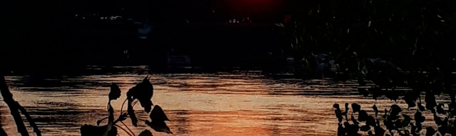 #Golden photo contest