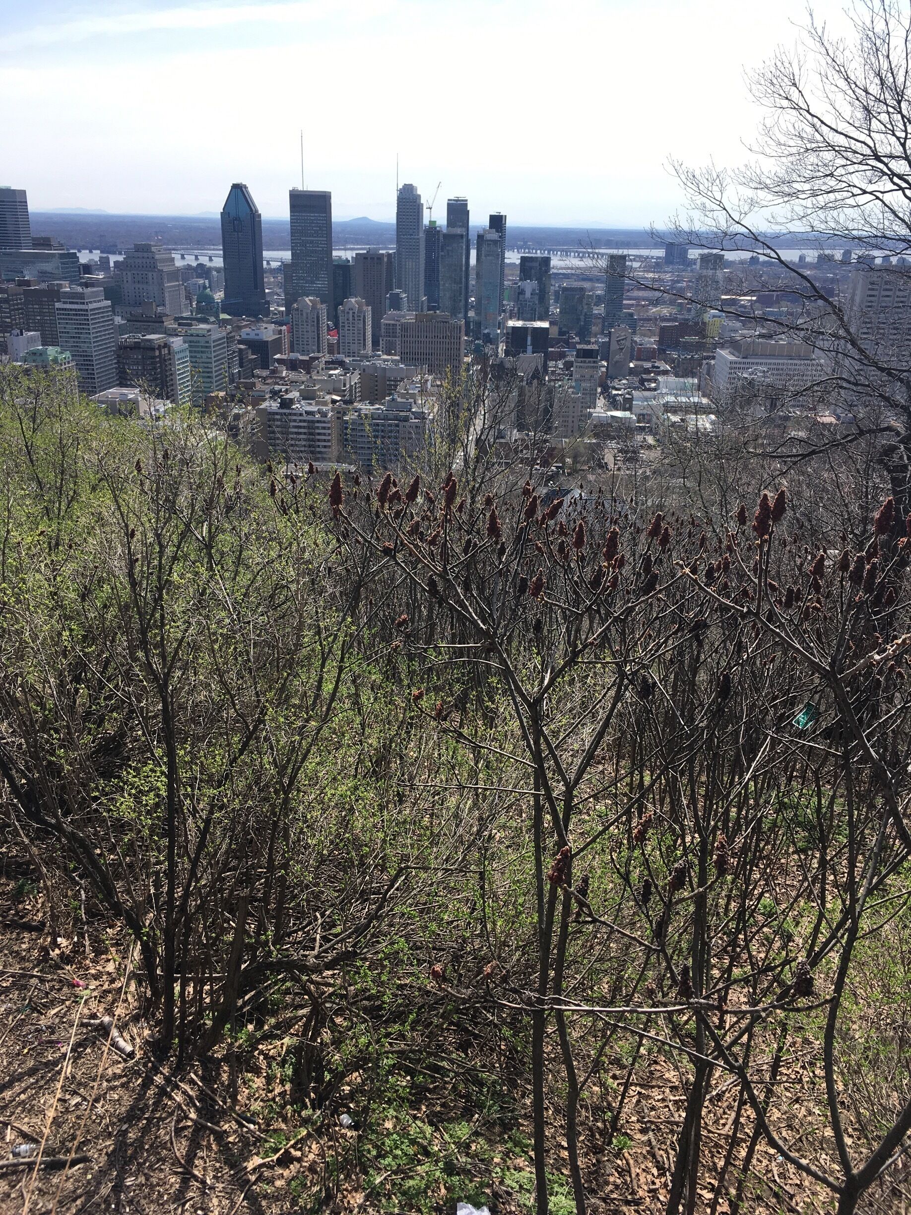 A lovely escape from the city, well worth walking up to and around. 