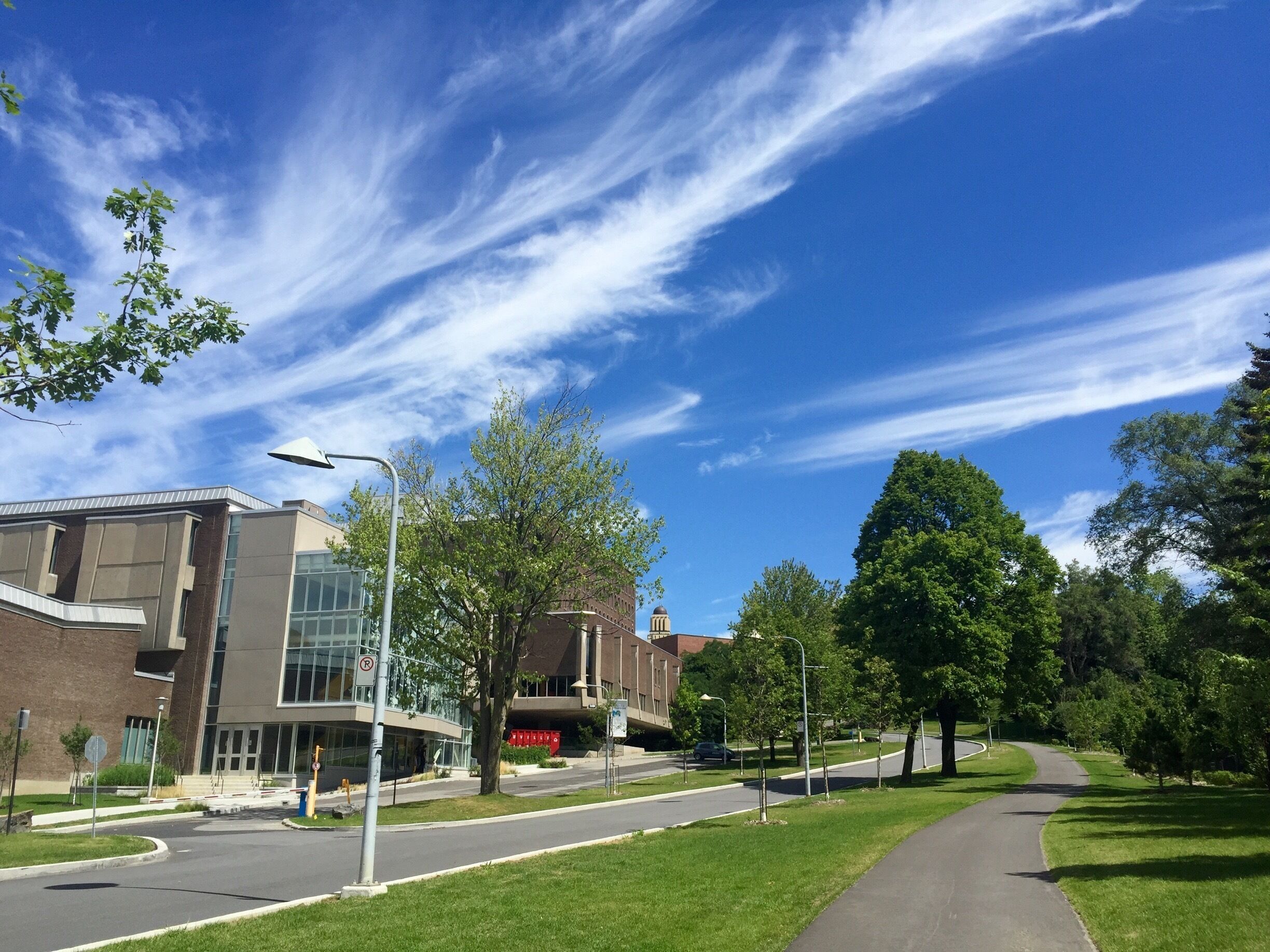 Beautiful Sunday 😍