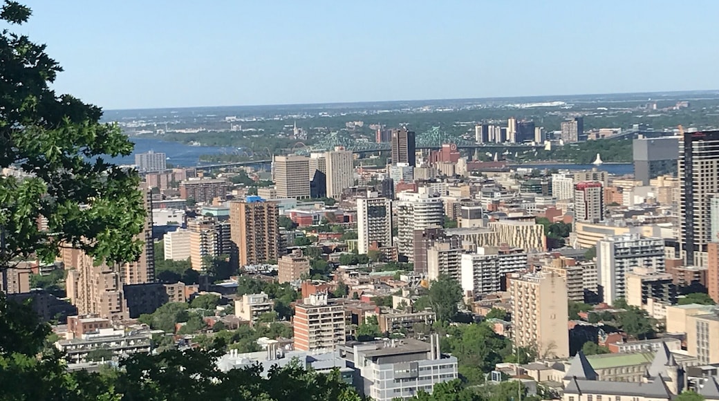 View of the city
#AboveItAll
Had to climb to get here but luckily it was mostly manmade steps going up the mountain (Mont- Royal) (took me much longer than it should have for me to put together that Mont Royal is where the name Montreal comes from!). Anyways, lots of steps, gorgeous views of the city, and a little gift shop that was closed when I got there.