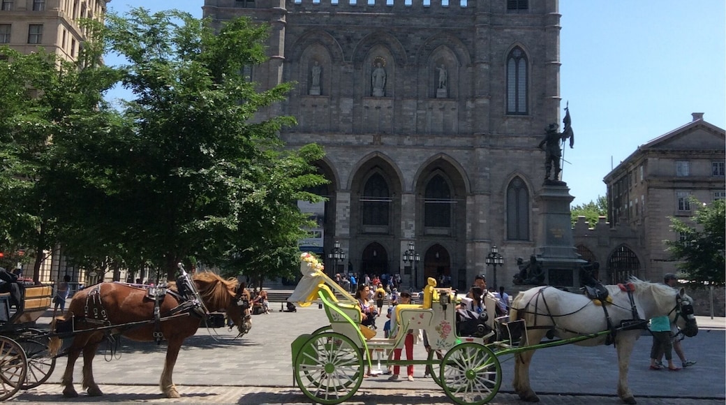 The beautiful Basilica of Notre Dame of Montreal, Canada in the Place D'Armes. Celine Dion was married here.