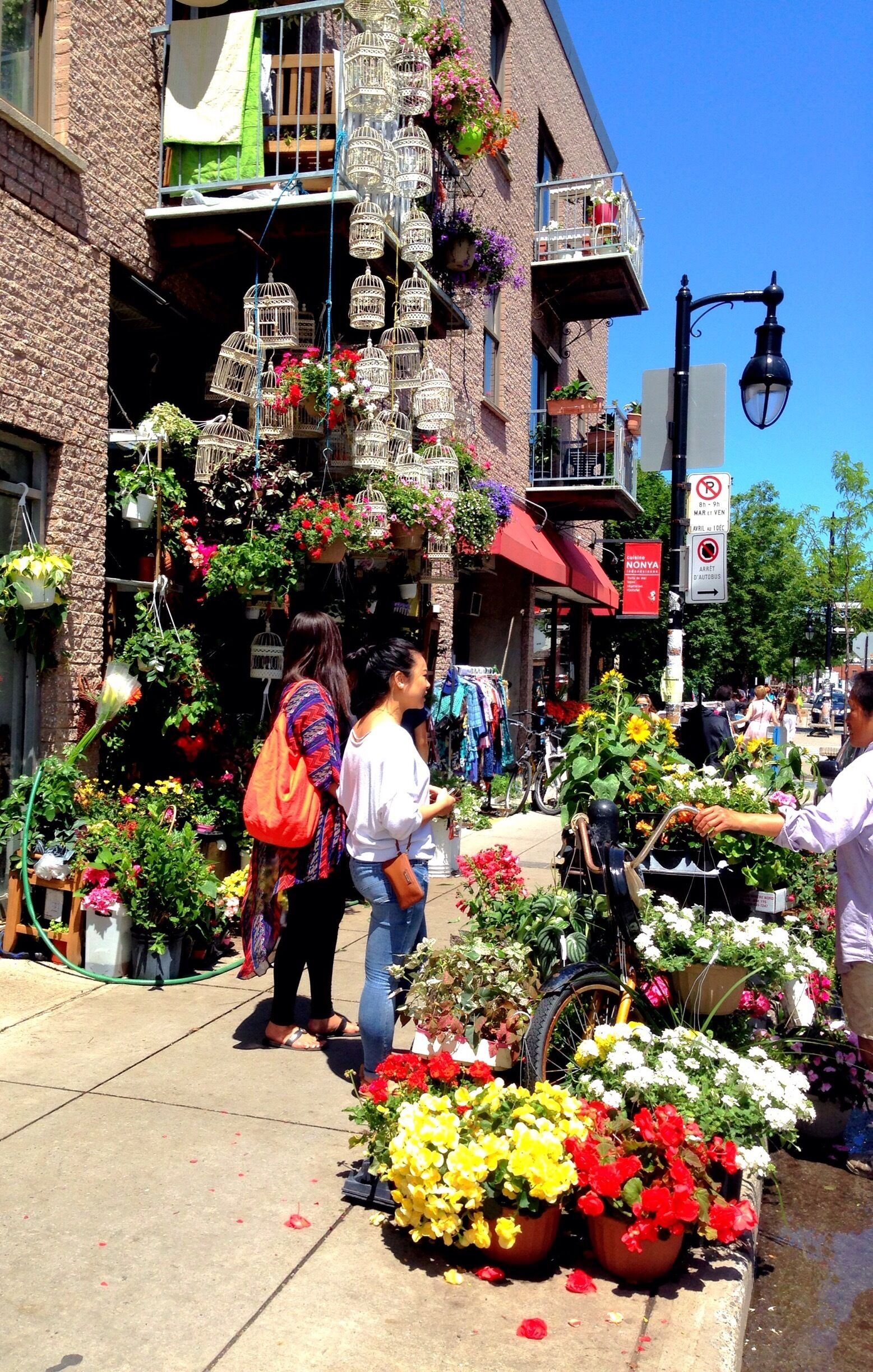 Loved this flower shop in Plateau Mont-Royal. We took Le metro to go to Outremont. Avenue Bernard, where this cute little shop is located, is a perfect weekend stroll destination. For those of us that want to see the other side of Montreal and get immersed in the neighborhoods where people go back after work, this was the perfect morning stop.