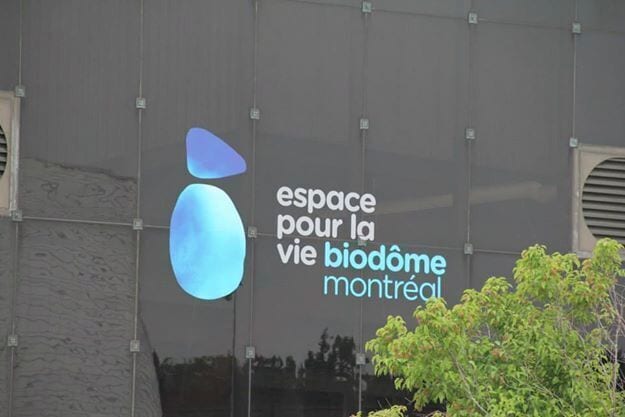 Cool place to visit on a rainy day ( we did). It's like an indoor habitat for all sorts of wildlife.