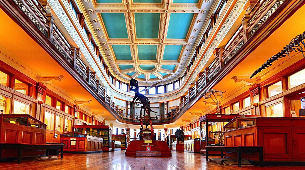 Redpath Museum is the oldest museum in Canada and located on the campus of McGill University, MontrĂ©al, QuĂ©bec. Itâs a museum of natural history and houses collections of interest to ethnology, biology, paleontology, and mineralogy/geology. Both the museum's interior and exterior have been utilized as a set, for movies and commercials. The admission is free!
#Canada #Quebec #Montreal #museum #perspective