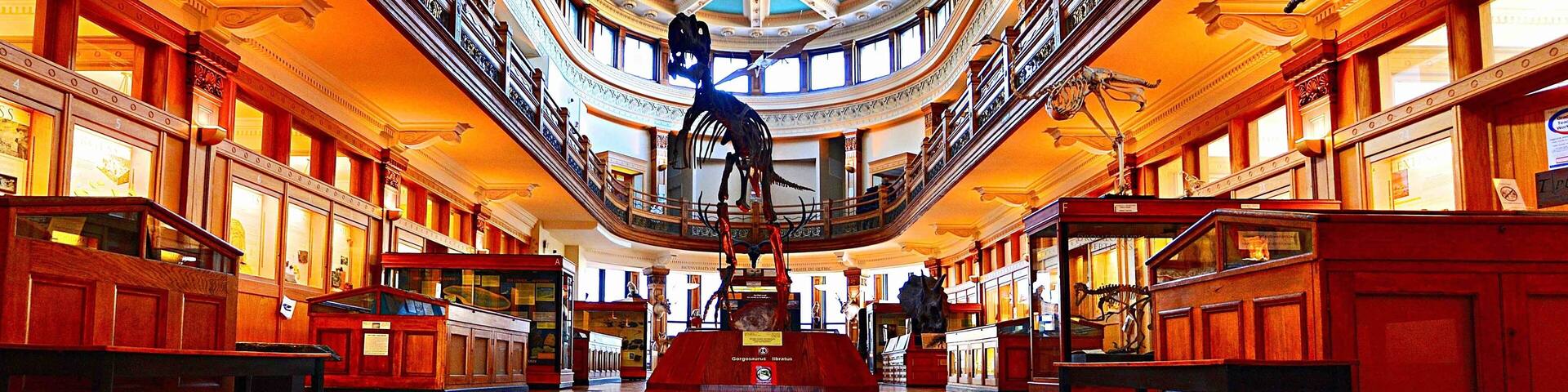 Redpath Museum is the oldest museum in Canada and located on the campus of McGill University, Montréal, Québec. It’s a museum of natural history and houses collections of interest to ethnology, biology, paleontology, and mineralogy/geology. Both the museum's interior and exterior have been utilized as a set, for movies and commercials. The admission is free!
#Canada #Quebec #Montreal #museum #perspective