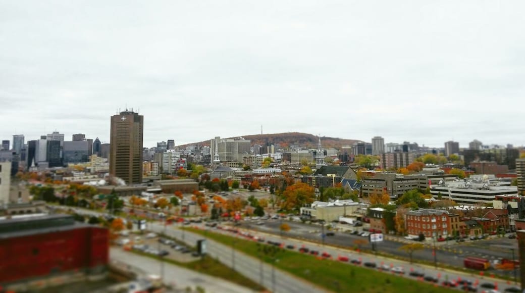 View of Montreal from Jacques Cartier bridge#lifeatexpedia