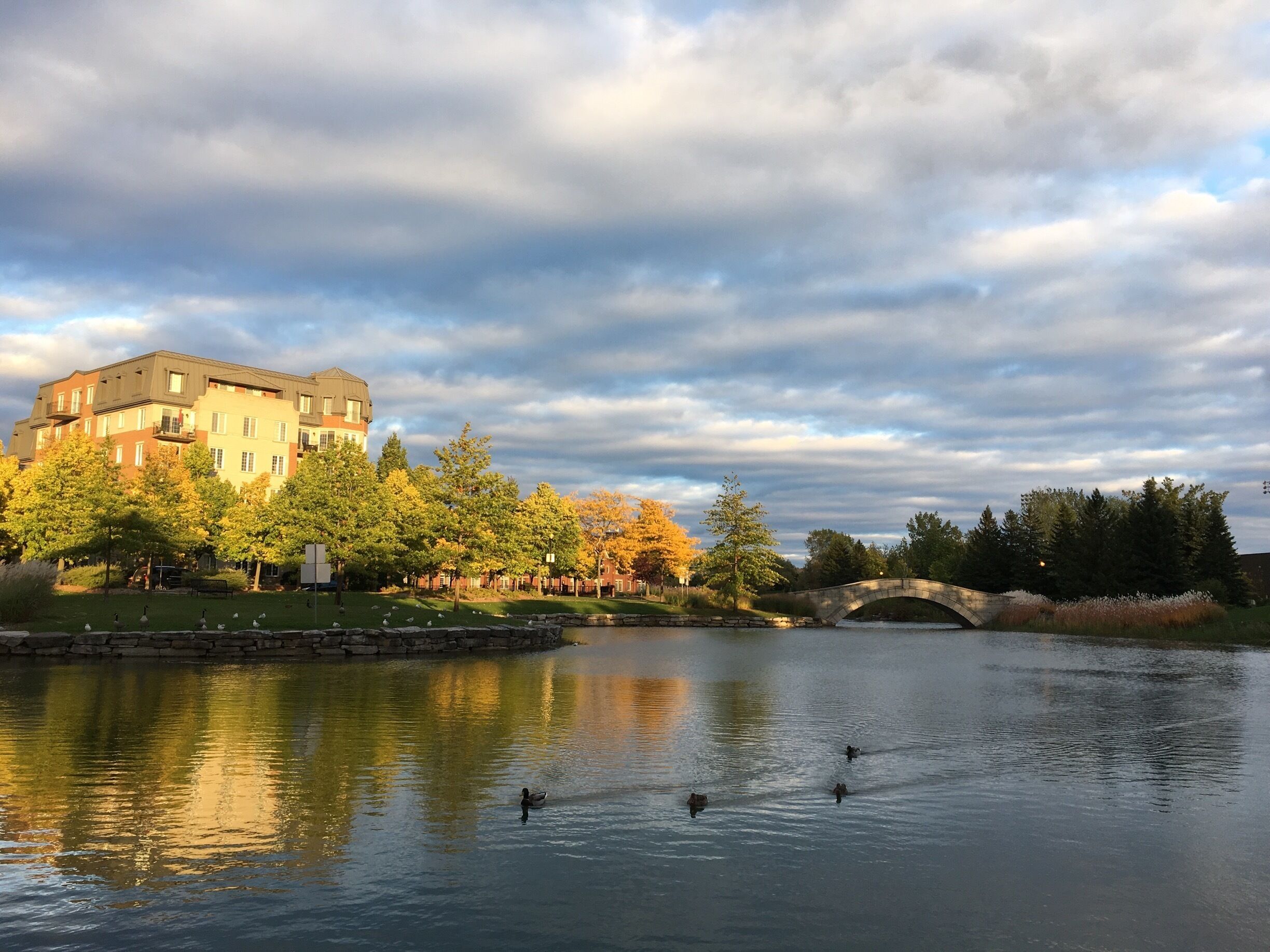 Beautiful sky sunny windy day