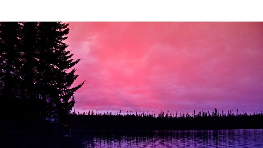 Un lac dont le rivage gauche est bordé par la silhouette d’un arbre, avec une forêt en arrière-plan.