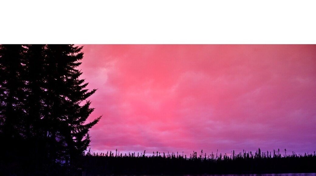 Square tail lodge. Really good fishing camp for native brook trout, walleye, and pike.
#goldenhour
#waterlust
vinramundo.smugmug.com