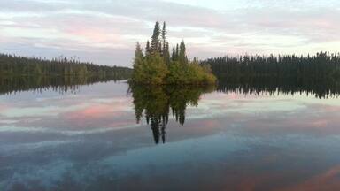 A calm lake with a small island of trees in the center, surrounded by dense forest.