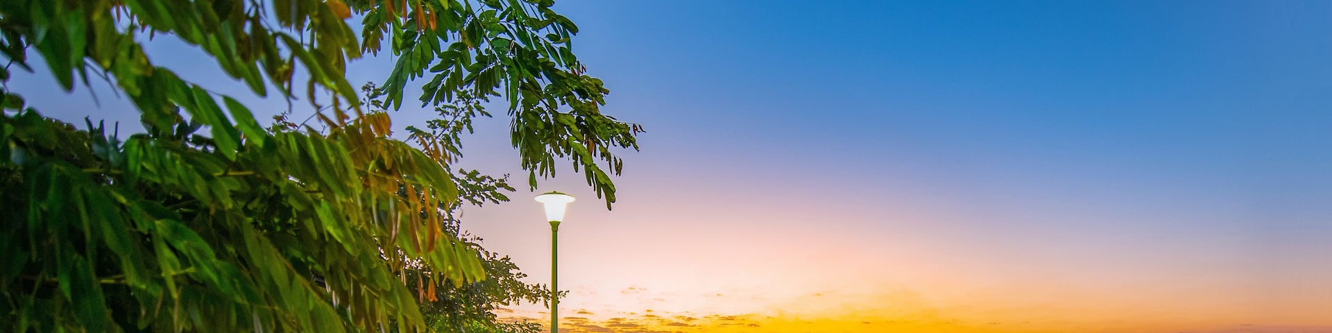 The Royal Commission, Yanbu, Medina, Saudi Arabia. February 2nd, 2022. The beach and adjacent parks at night, dawn and dusk times. Trees especially palm are shown. Black and colorful skies. Pathways.