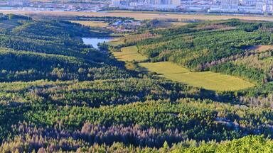 A river winding through a forested valley with a cityscape in the background.