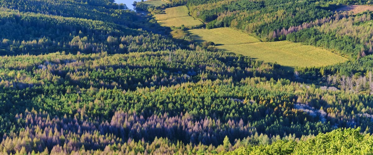 A river winding through a forested valley with a cityscape in the background.