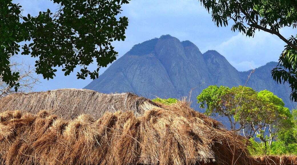 NAMPULA, MOZAMBIQUE - 6 DECEMBER 2008: The settlement. National African house with a thatched roof.