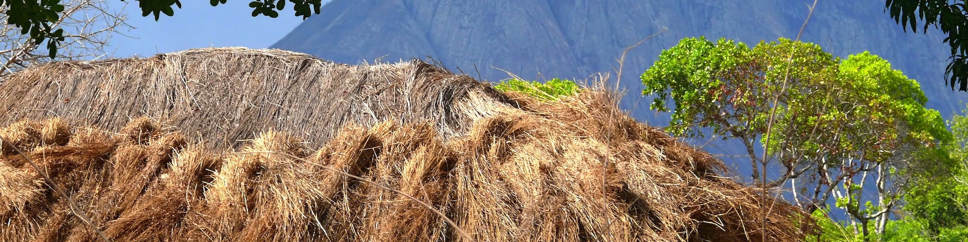 NAMPULA, MOZAMBIQUE - 6 DECEMBER 2008: The settlement. National African house with a thatched roof.
