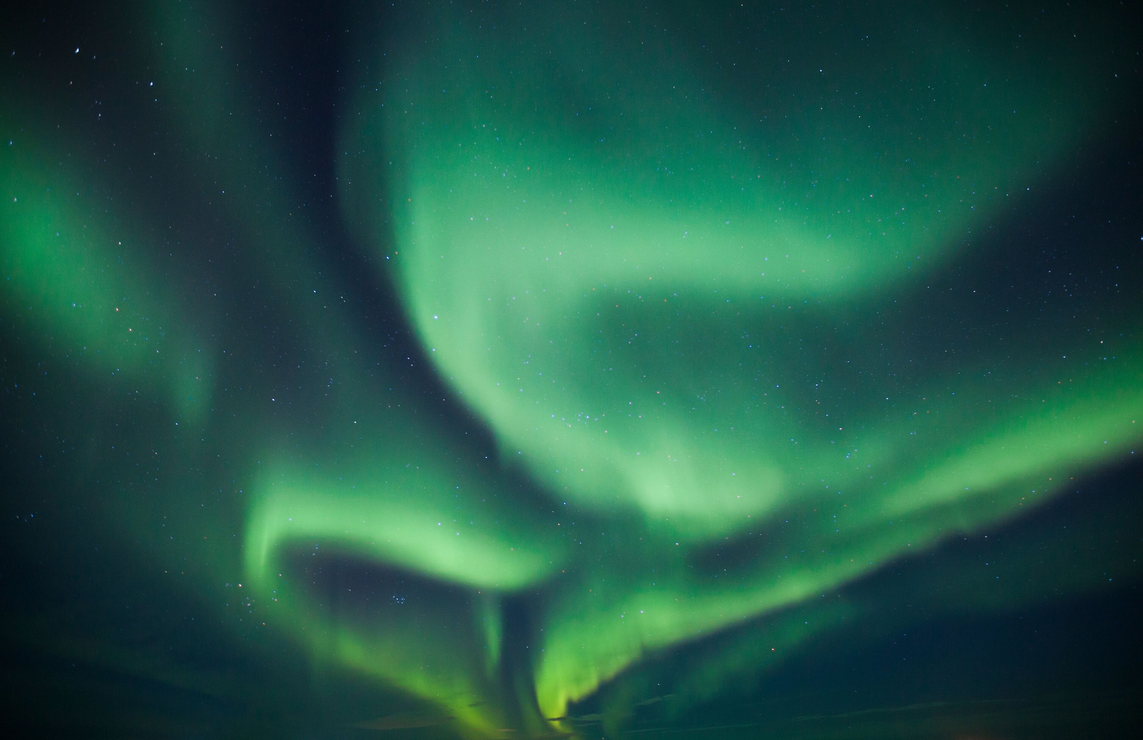 Northern Lights on sky in northern Alberta, Canada