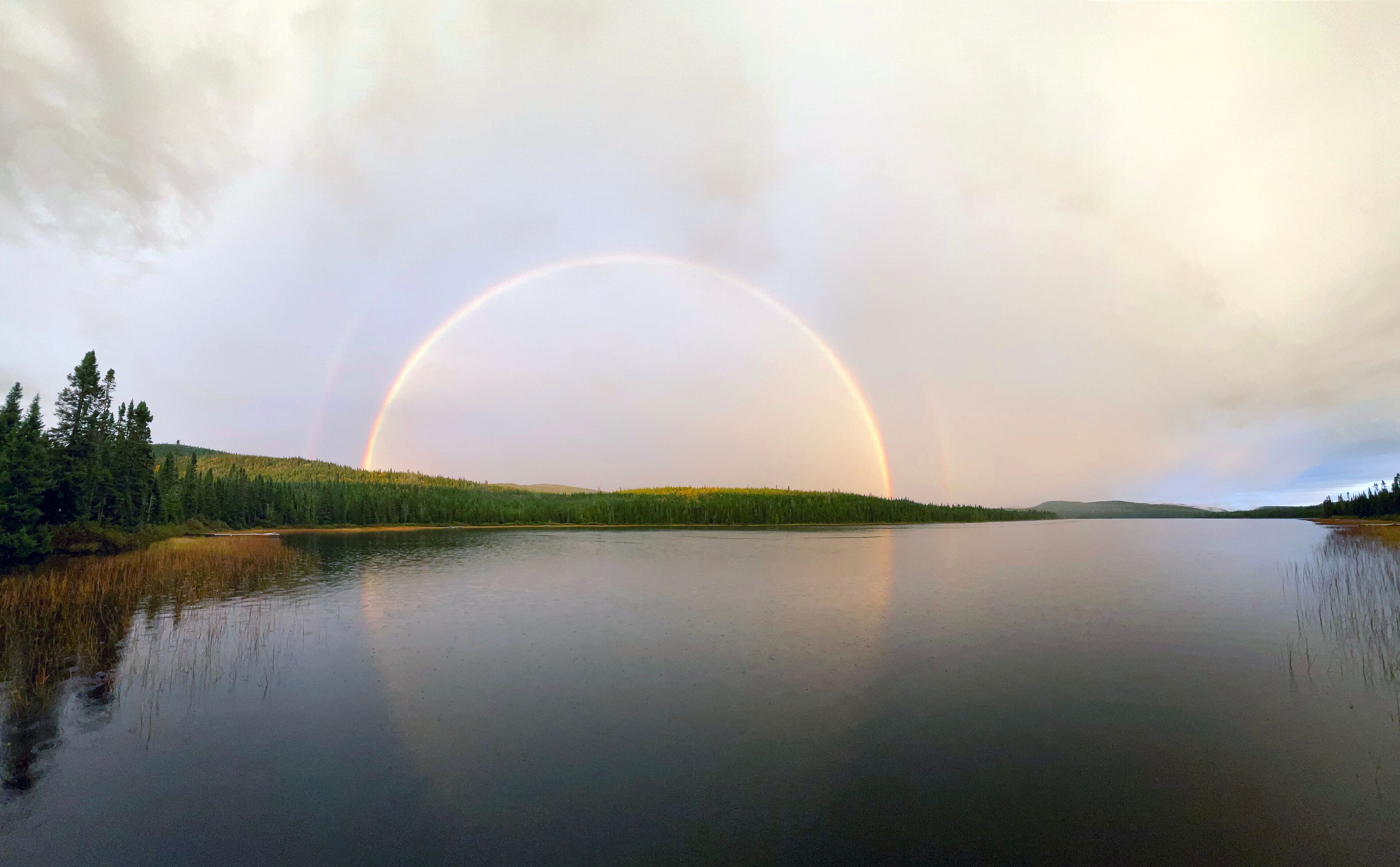 un arc-en-ciel sur le lac dans la forêt